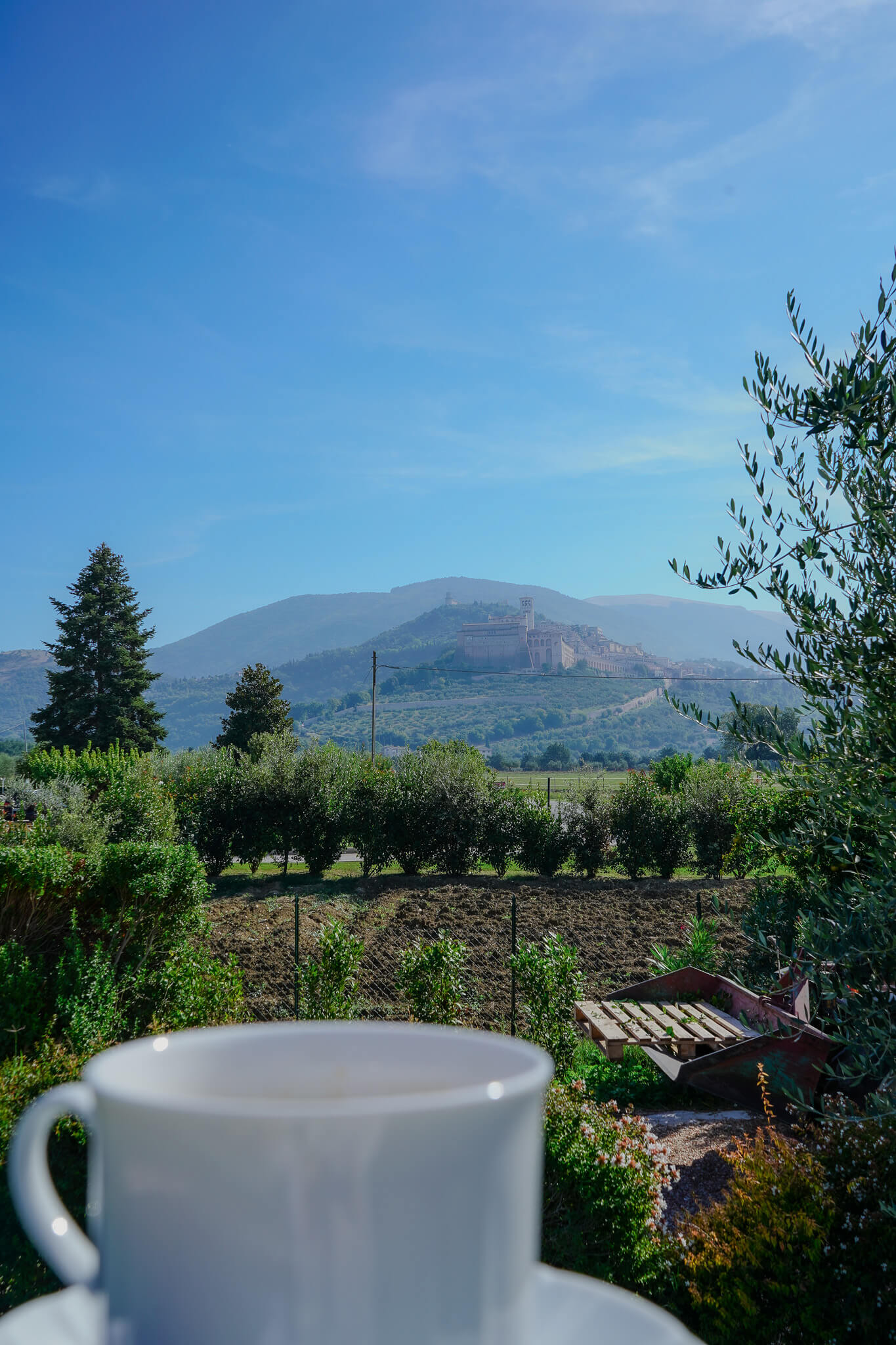 Agriturismo Assisi, Agriturismo Assisi Con Piscina, Colazione Fatta In Casa Agriturismo La Panoramica